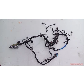 Проводка двигуна Ford Escape 2013-2016 FV4T12A690